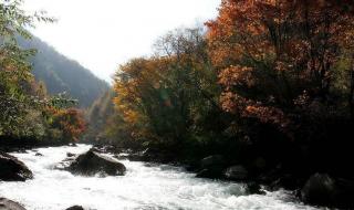 四川自然保护区 四川自然保护区