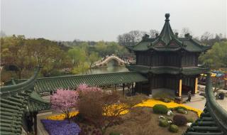 杭州人对烟花有多热情 杭州人对烟花有多热情