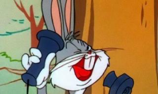 兔八哥四川方言版 兔八哥四川方言版