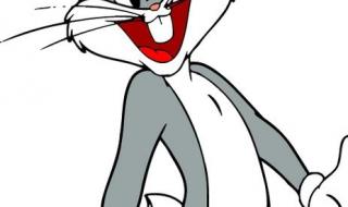 兔八哥四川方言版 兔八哥四川方言版